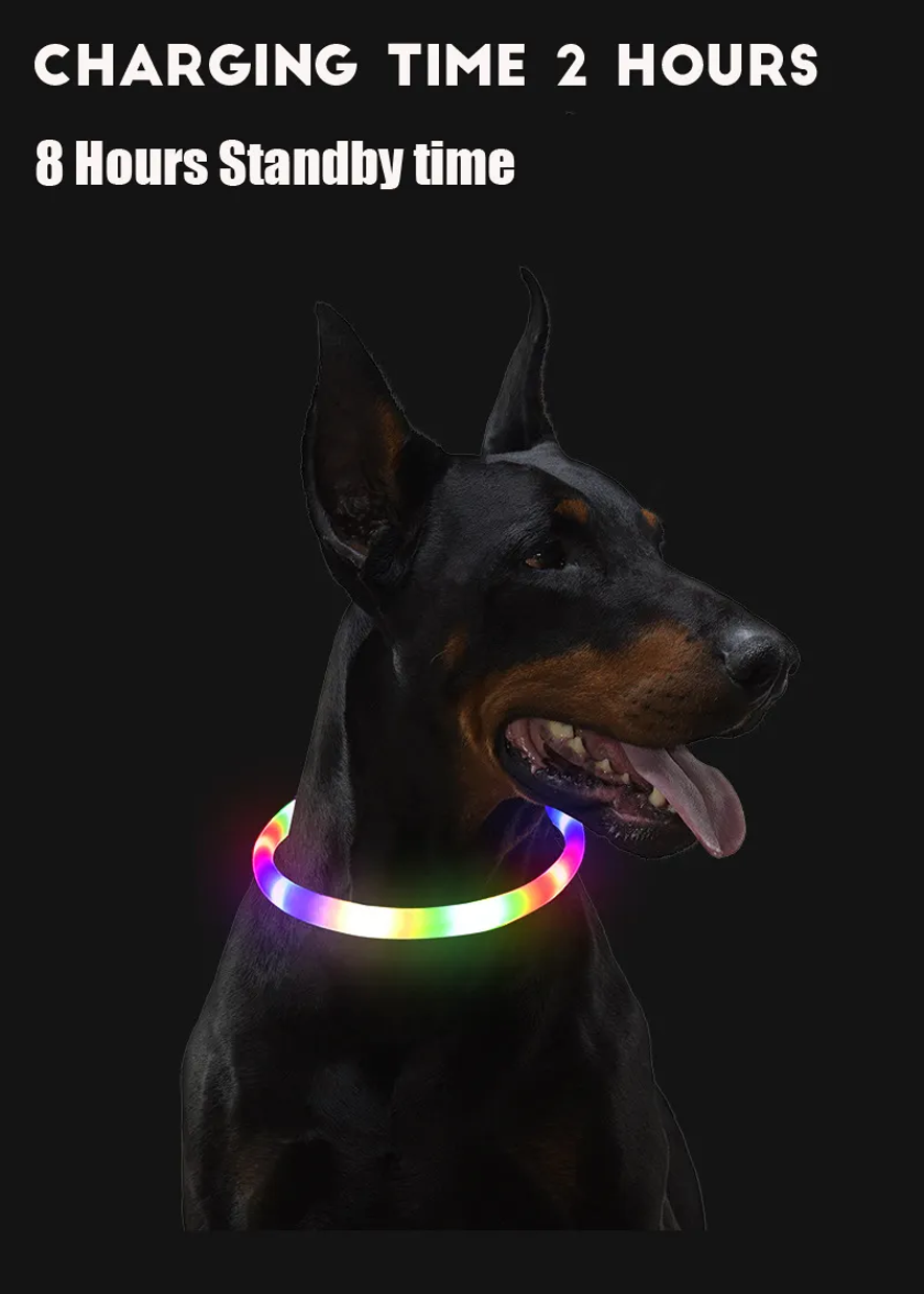 Led Pet Collar USB Charge - 20% OFF & FREE SHIPPING!