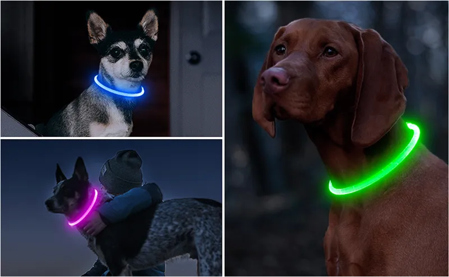 Led Pet Collar USB Charge - 20% OFF & FREE SHIPPING!